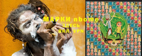 гидра Ельня