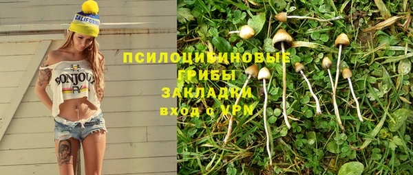 гидра Ельня
