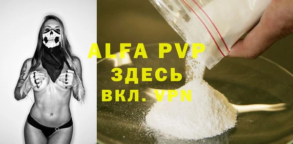 мдпв Елабуга