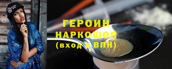 гидра Ельня
