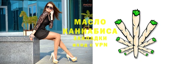мдпв Елабуга