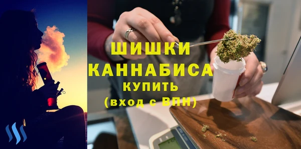 гидра Ельня