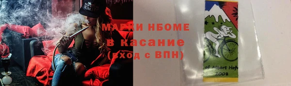 мдпв Елабуга