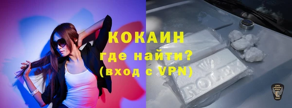 гидра Ельня