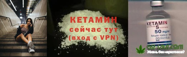 гидра Ельня