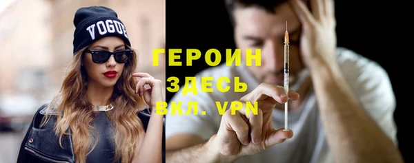 гидра Ельня