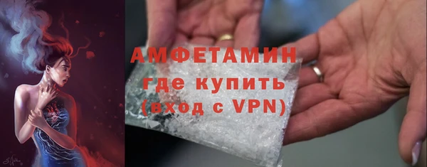 гидра Ельня