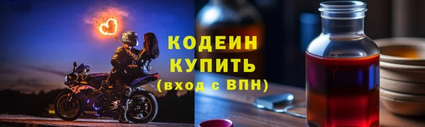 гидра Ельня