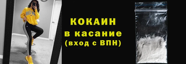 гидра Ельня
