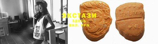 мдпв Елабуга