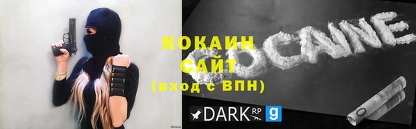 гидра Ельня