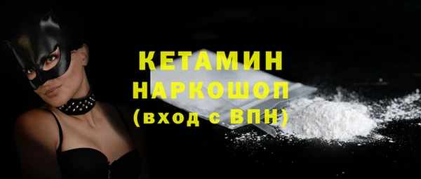 гидра Ельня