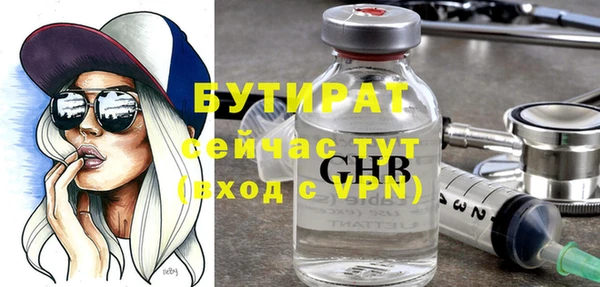 гидра Ельня