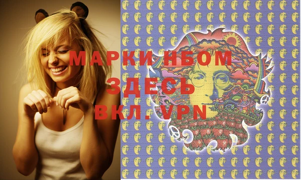 мдпв Елабуга