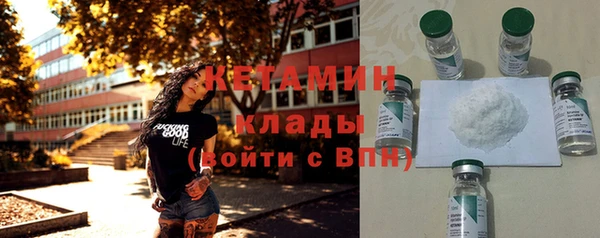 гидра Ельня