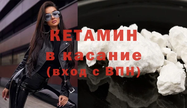 гидра Ельня