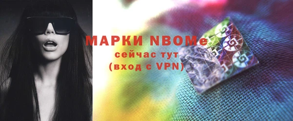 мдпв Елабуга